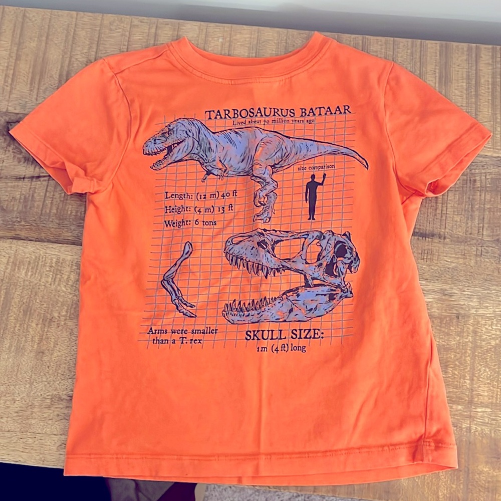 Carters Little Boys casual Dinosaur T-shirt Size XS